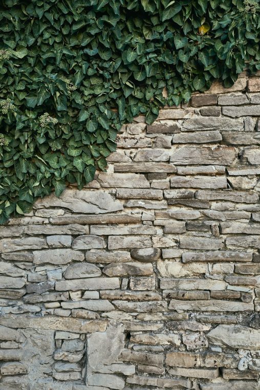 Mur de pierres avec feuilles vertes