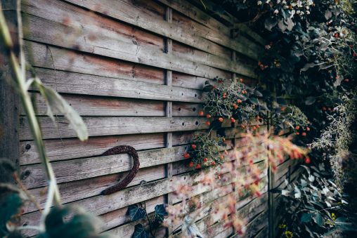 Persienne de bois avec plantes accrochées