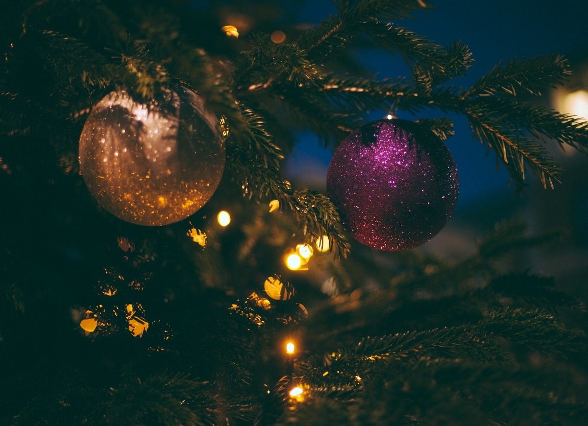 Pose de lumières fêtes de Noël.Installation dans sapins et arbres en hauteur