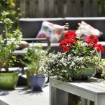 Espace de vie extérieur avec fauteuils et plantes en pots