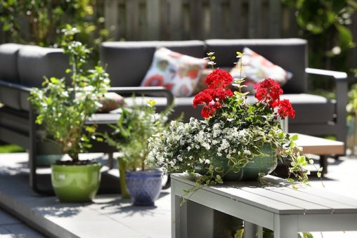 Espace de vie extérieur avec fauteuils et plantes en pots