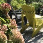 Fleurs avec chaises Adirondack en arrière-plan