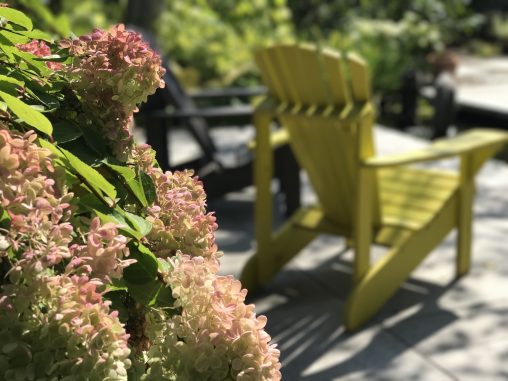 Aménagement floral et chaises de jardin