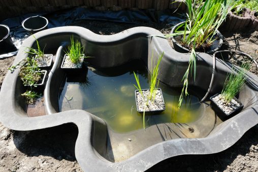 Aménagement de bassins de jardin près de Saint-Louis